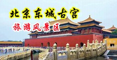 黄污污中国北京-东城古宫旅游风景区